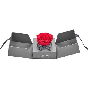 Rose Gift Box Jedinstveni dizajn Garderoba Premium iverica Cvijetna kutija