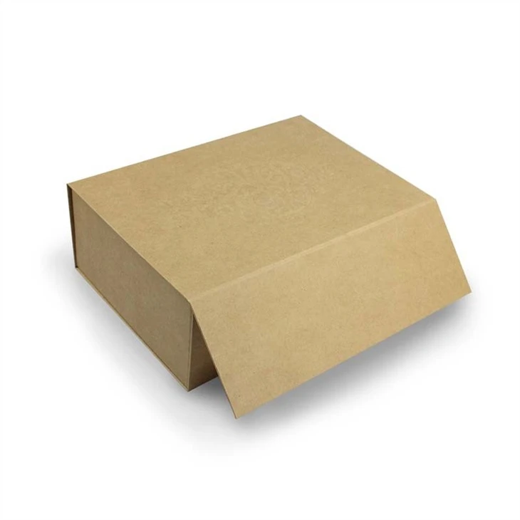 Foldable Shoe Box
