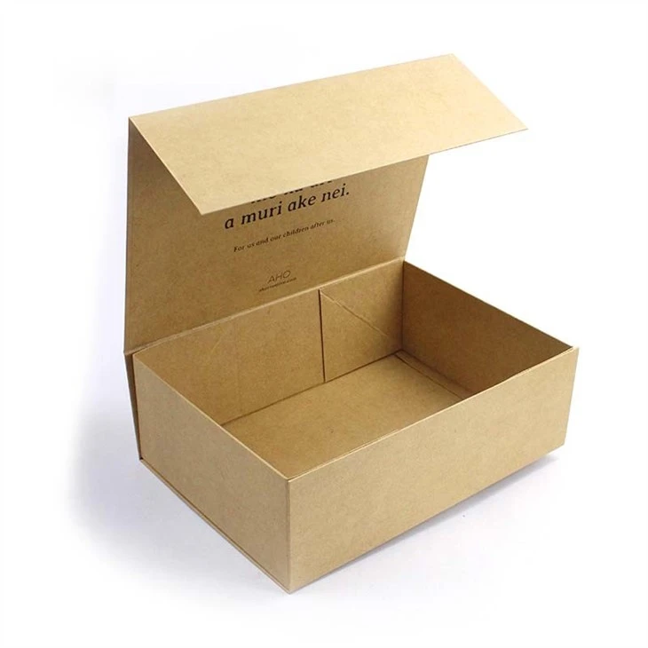 Foldable Shoe Box